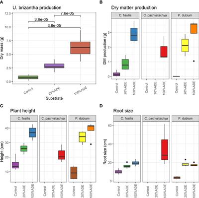 Amazonian dark earths enhance the establishment of tree species in forest ecological restoration